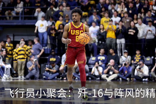 飞行员小聚会：歼-16与阵风的精彩对决！